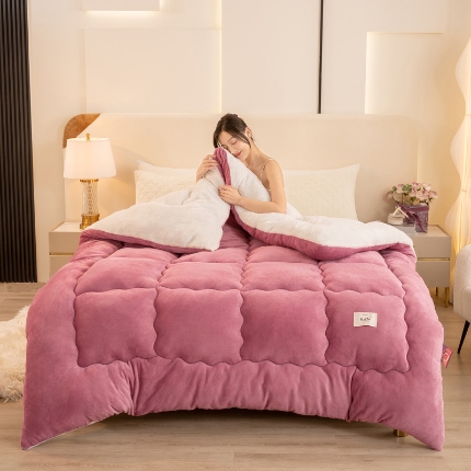 91家纺网 家纺一手货源 找家纺 （汇总）2025秋冬新款双面牛奶绒被子羊羔绒被子保暖加厚冬被春秋被芯被子冬被跨境外贸 