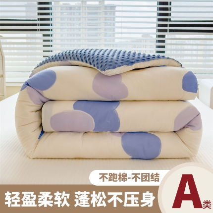 恒畅 2024新款A类水洗棉印花豆豆绒秋冬被 豆豆被-心意满满