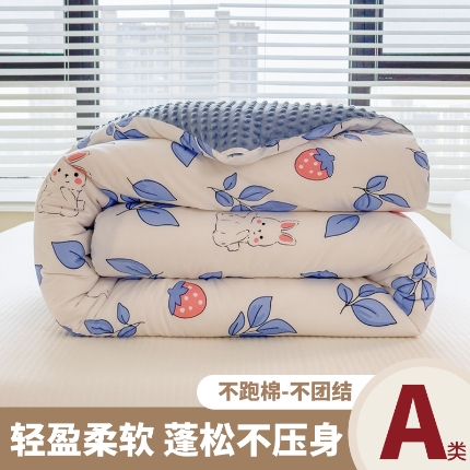 恒畅 2024新款A类水洗棉印花豆豆绒秋冬被 豆豆被-花园兔