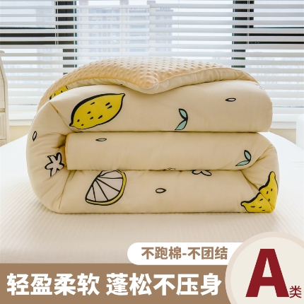 恒畅 2024新款A类水洗棉印花豆豆绒秋冬被 豆豆被-清新夏日