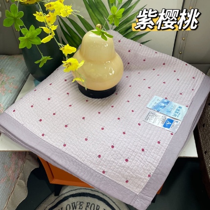 91家纺网 家纺一手货源 找家纺 （总）双面天丝床盖200×230加大单件莫代尔天丝棉花床盖 夏季凉席床单