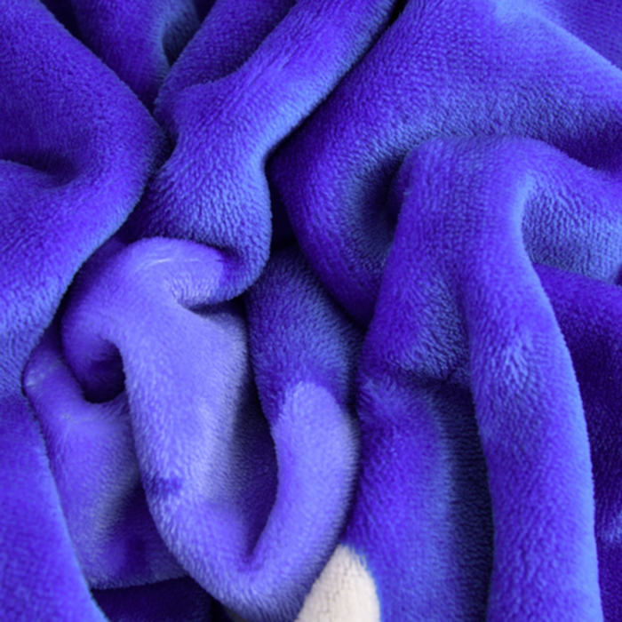 91家纺网 家纺一手货源 找家纺 新8.5-9.5斤法莱绒四件套珊瑚牛奶金貂绒四件套床裙 欢乐时光