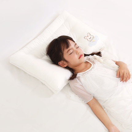 91家纺网 家纺一手货源 找家纺 （总）乐可 2024新款A类全棉晚安兔儿童枕学生枕头枕芯 风格二