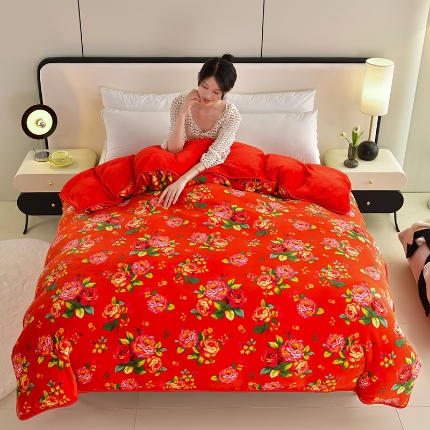 91家纺网 家纺一手货源 找家纺 （总）2025新款加厚直播爆款牛奶绒被套金貂法莱绒单品被套