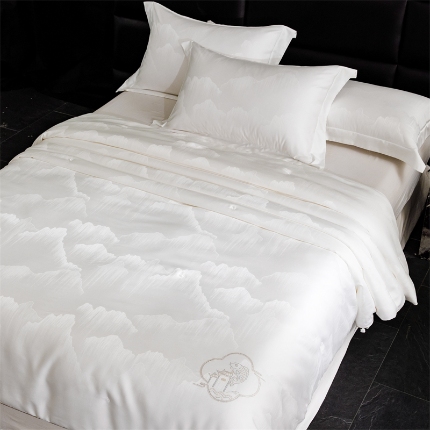 91家纺网 家纺一手货源 找家纺 假一赔三 桐乡正品手工国标蚕丝被100%桑蚕丝长丝被芯春秋被夏凉被空调被子母被冬被