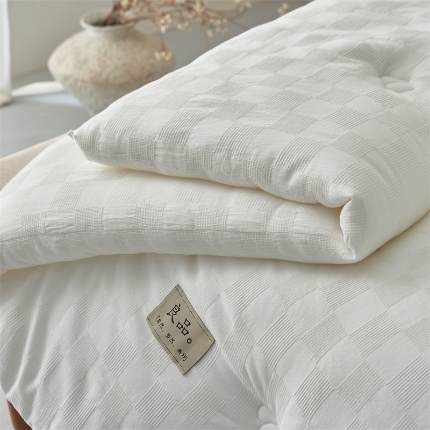 （总）2024新款b类100%纯棉水洗棉提花大豆纤维冬被