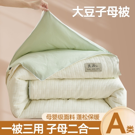 （总）子由 2024新款b类良品格子母冬被被子被芯