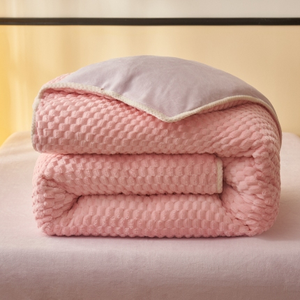 91家纺网 家纺一手货源 找家纺 （总）吾诺 2024 大豆豆绒可拆洗冬被二合一被子牛奶绒冬被被芯