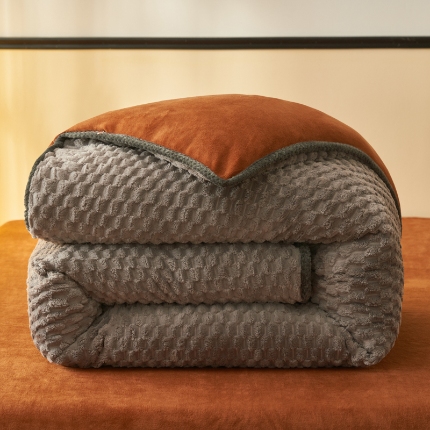 91家纺网 家纺一手货源 找家纺 （总）吾诺 2024 大豆豆绒可拆洗冬被二合一被子牛奶绒冬被被芯