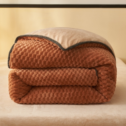 91家纺网 家纺一手货源 找家纺 （总）吾诺 2024 大豆豆绒可拆洗冬被二合一被子牛奶绒冬被被芯