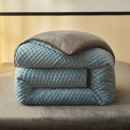 91家纺网 家纺一手货源 找家纺 （总）吾诺 2024 大豆豆绒可拆洗冬被二合一被子牛奶绒冬被被芯