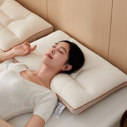 91家纺网 家纺一手货源 找家纺 （总）乐可 2024新款轻奢羊绒蚕咝枕枕头枕芯-风格一