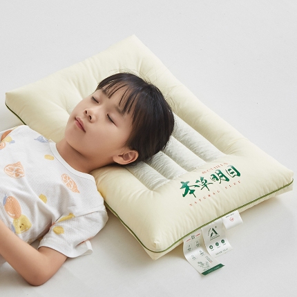 91家纺网 家纺一手货源 找家纺 （总）乐可 2024新款A类本草明目低平枕 枕头枕芯-风格二