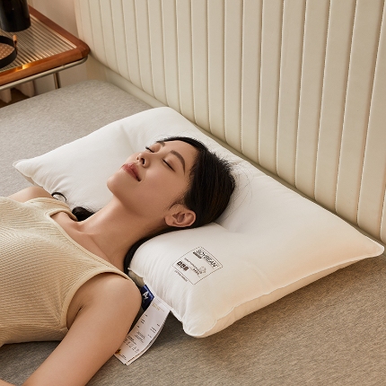 91家纺网 家纺一手货源 找家纺 （总）乐可 2024新款A类全棉黄金大豆枕 枕头枕芯