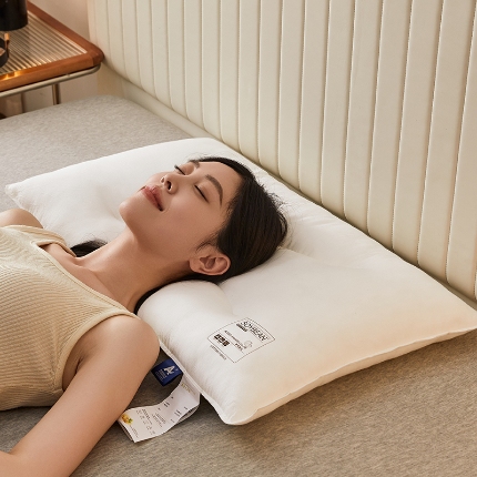 91家纺网 家纺一手货源 找家纺 （总）乐可 2024新款A类全棉黄金大豆枕 枕头枕芯
