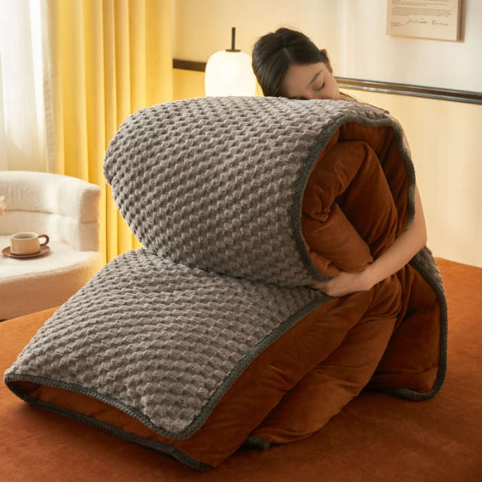 91家纺网 家纺一手货源 找家纺 （总）吾诺 2024 大豆豆绒可拆洗冬被二合一被子牛奶绒冬被被芯