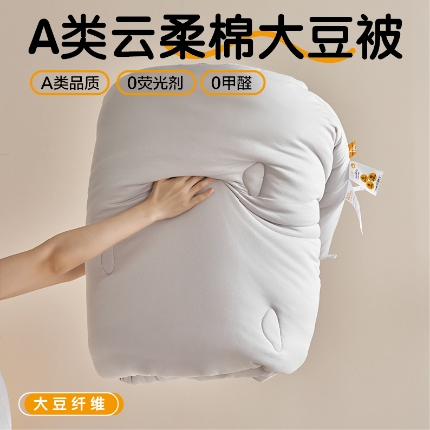 91家纺网 家纺一手货源 找家纺 （总）莱宁被业 2024新款A类针织云柔棉大豆冬被保暖学生春秋被冬被