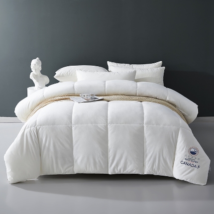 91家纺网 家纺一手货源 找家纺 （总）小鱼儿家纺 秋冬新款直播爆款德芙绒羽丝被德绒冬被子被芯零压反重力太空被抗菌被春秋子母被夏被冰岛绒蓄热被