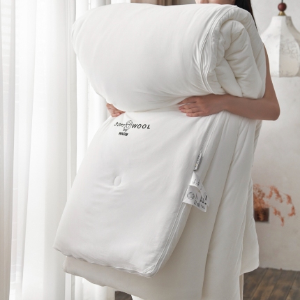 91家纺网 家纺一手货源 找家纺 （总）新款雅棉陶瓷磨毛羊毛被秋冬羊绒蛋白被芯二合一拉链子母被双胎被子