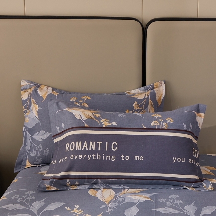 91家纺网 家纺一手货源 找家纺 （总）贝兰仙奴 2024新款利兹系列磨毛多规格单枕套