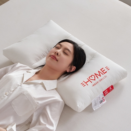 91家纺网 家纺一手货源 找家纺 （总）乐可 2024新款A类全棉三防净护枕枕芯枕头