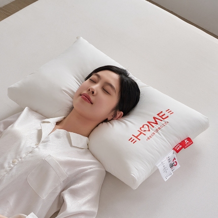 91家纺网 家纺一手货源 找家纺 （总）乐可 2024新款A类全棉三防净护枕枕芯枕头