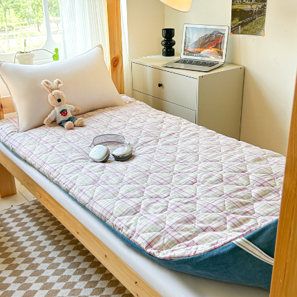 91家纺网 家纺一手货源 找家纺 （总）魅图家纺 2025新款秋冬两用可拆洗棉花学生床垫