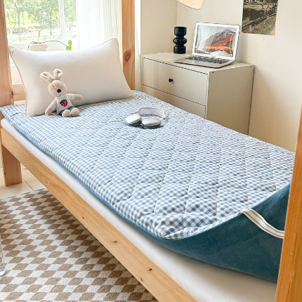 91家纺网 家纺一手货源 找家纺 （总）魅图家纺 2025新款秋冬两用可拆洗棉花学生床垫