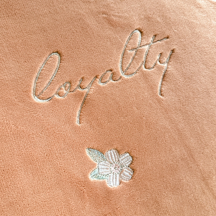 91家纺网 家纺一手货源 找家纺 2025秋冬新款230g法式公主粉少女心牛奶绒四件套法莱绒金貂绒兔兔绒牛奶绒床裙款四件套蝴蝶花床盖款四件套  蝶恋花—西柚红