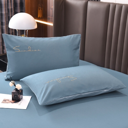 91家纺网 家纺一手货源 找家纺 （总）七仙女 新款轻奢简约绣花款枕套直播稳定供货