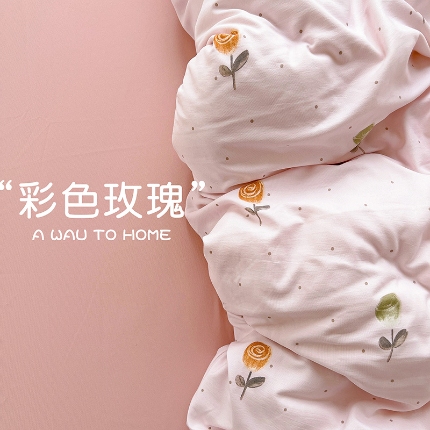 源莱 2025新款加厚针织棉双层纱系列四件套直播爆款 彩色玫瑰