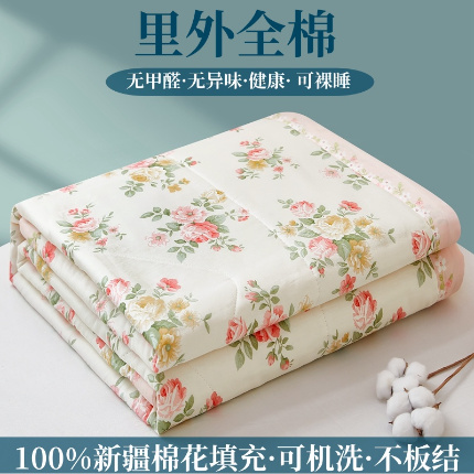 黛妮雅 2025新款里外全棉印花棉花被纯棉夏被夏凉被空调被 夏被四件套 月夕花晨-米