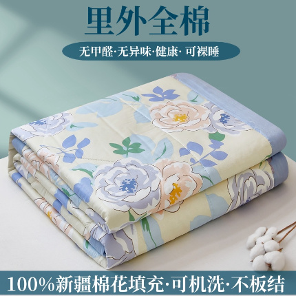 黛妮雅 2025新款里外全棉印花棉花被纯棉夏被夏凉被空调被 夏被四件套 北国之春