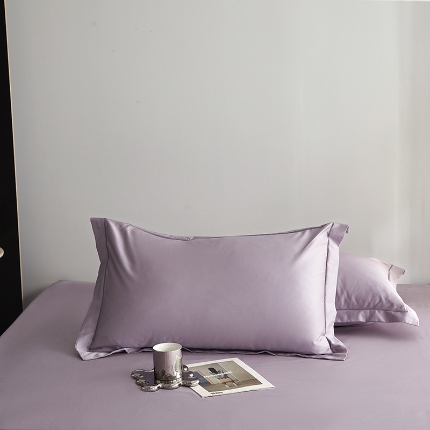 2025年新款100支纯棉长绒棉全棉贡缎纯色枕套 风信紫