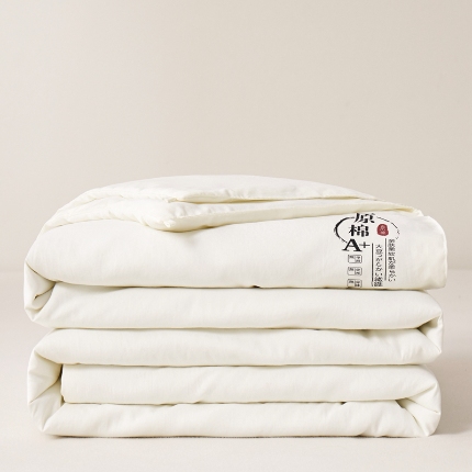 恒畅 2025新款A类原棉抗菌夏被被芯夏凉被空调被 原棉夏被-白色