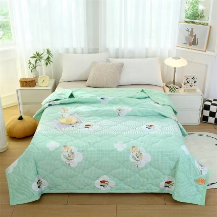 91家纺网 家纺一手货源 找家纺 （总）爱派  2025新款直播爆款印花水洗棉夏被夏凉被空调被被子被芯