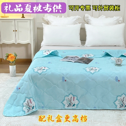 91家纺网 家纺一手货源 找家纺 （总）诗雅纺织 2025新款亲肤柔软钻石绒夏被空调被超声波礼品被