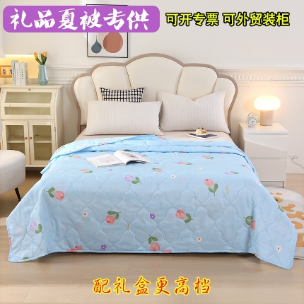 91家纺网 家纺一手货源 找家纺 （总）诗雅纺织 2025新款亲肤柔软钻石绒夏被空调被超声波礼品被