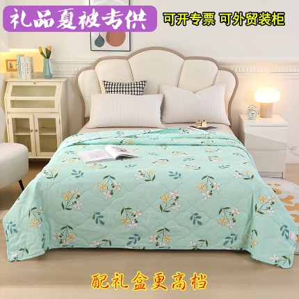 91家纺网 家纺一手货源 找家纺 （总）诗雅纺织 2025新款亲肤柔软钻石绒夏被空调被超声波礼品被