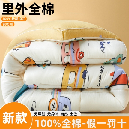91家纺网 家纺一手货源 找家纺 帕拉美拉 2025新款全棉100%新疆棉花款小清新立体冬被学生被子被芯 汽车派对