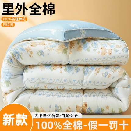 91家纺网 家纺一手货源 找家纺 帕拉美拉 2025新款全棉100%新疆棉花款小清新立体冬被学生被子被芯 诺溪