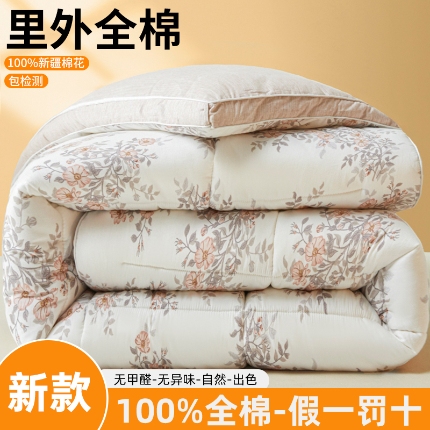 91家纺网 家纺一手货源 找家纺 帕拉美拉 2025新款全棉100%新疆棉花款小清新立体冬被学生被子被芯 香雪轻悠