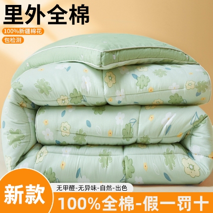 91家纺网 家纺一手货源 找家纺 帕拉美拉 2025新款全棉100%新疆棉花款小清新立体冬被学生被子被芯 欧若琳