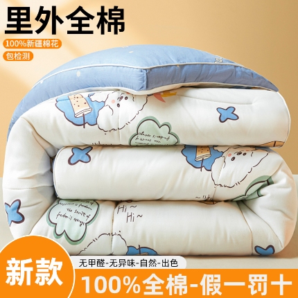 91家纺网 家纺一手货源 找家纺 帕拉美拉 2025新款全棉100%新疆棉花款小清新立体冬被学生被子被芯 童趣日记