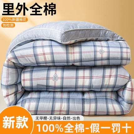 91家纺网 家纺一手货源 找家纺 帕拉美拉 2025新款全棉100%新疆棉花款小清新立体冬被学生被子被芯 小夜曲