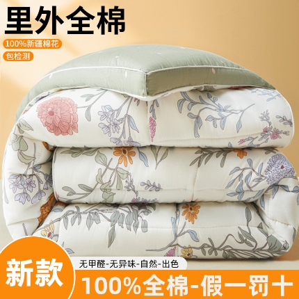 91家纺网 家纺一手货源 找家纺 帕拉美拉 2025新款全棉100%新疆棉花款小清新立体冬被学生被子被芯 叶莱婉香