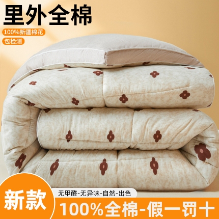 91家纺网 家纺一手货源 找家纺 帕拉美拉 2025新款全棉100%新疆棉花款小清新立体冬被学生被子被芯 摩德尔