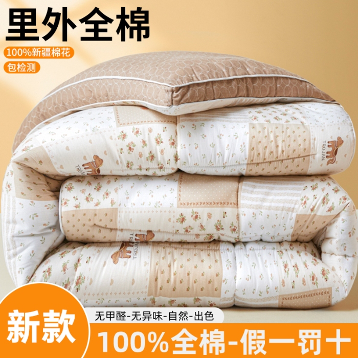 91家纺网 家纺一手货源 找家纺 帕拉美拉 2025新款全棉100%新疆棉花款小清新立体冬被学生被子被芯 卡布奇诺