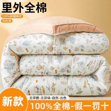 91家纺网 家纺一手货源 找家纺 帕拉美拉 2025新款全棉100%新疆棉花款小清新立体冬被学生被子被芯 梦幻物语
