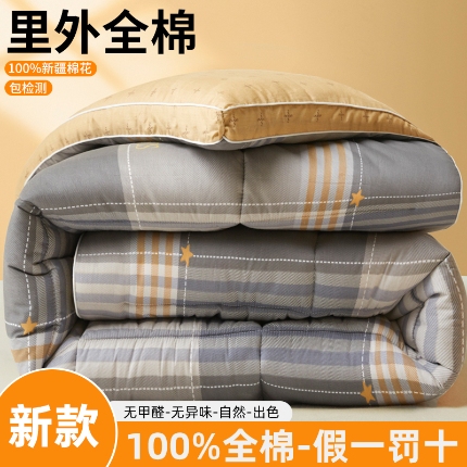 91家纺网 家纺一手货源 找家纺 帕拉美拉 2025新款全棉100%新疆棉花款小清新立体冬被学生被子被芯 曼格丽